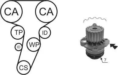 Airtex WPK-177406 - Vattenpump + kuggremssats xdelar.se