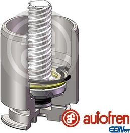 AUTOFREN SEINSA D025422RK - Kolv, bromsok xdelar.se