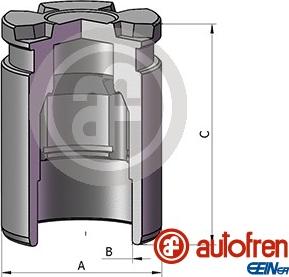 AUTOFREN SEINSA D025542 - Kolv, bromsok xdelar.se