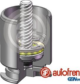 AUTOFREN SEINSA D02554RK - Kolv, bromsok xdelar.se