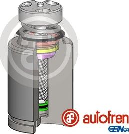 AUTOFREN SEINSA D025583LK - Kolv, bromsok xdelar.se