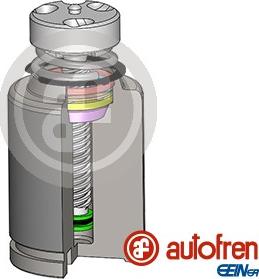 AUTOFREN SEINSA D025583RK - Kolv, bromsok xdelar.se