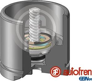 AUTOFREN SEINSA D025256LK - Kolv, bromsok xdelar.se