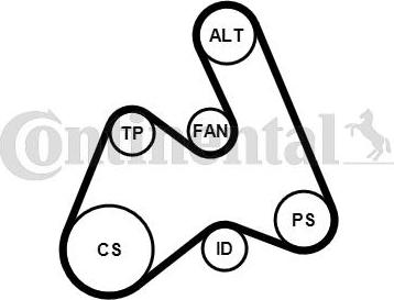 Contitech 5PK1592K1 - Flerspårsremssats xdelar.se