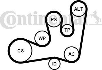 CONTITECH 6PK1642K1 - Flerspårsremssats xdelar.se