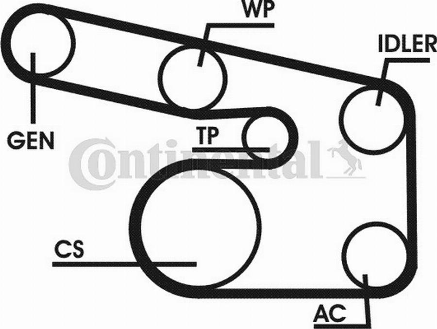 CONTITECH 6PK1870D1 - Flerspårsrem xdelar.se