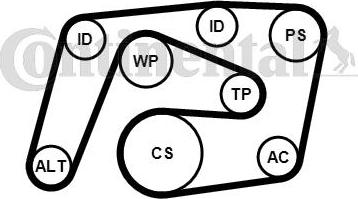 Contitech 6PK2260K1 - Flerspårsremssats xdelar.se