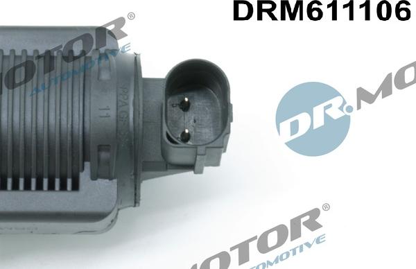 Dr.Motor Automotive DRM611106 - Agr-Ventil xdelar.se