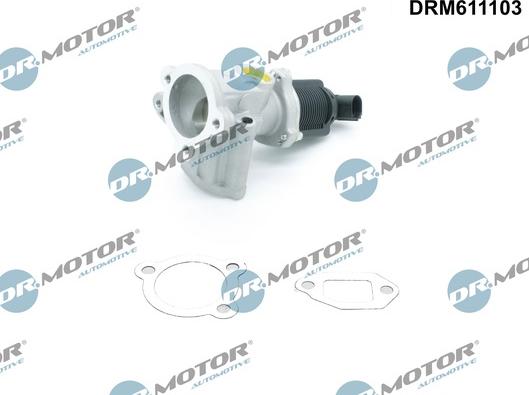 Dr.Motor Automotive DRM611103 - Agr-Ventil xdelar.se