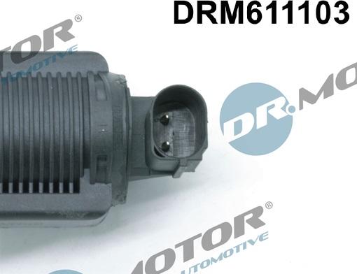 Dr.Motor Automotive DRM611103 - Agr-Ventil xdelar.se