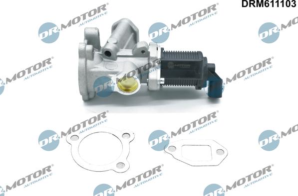 Dr.Motor Automotive DRM611103 - Agr-Ventil xdelar.se