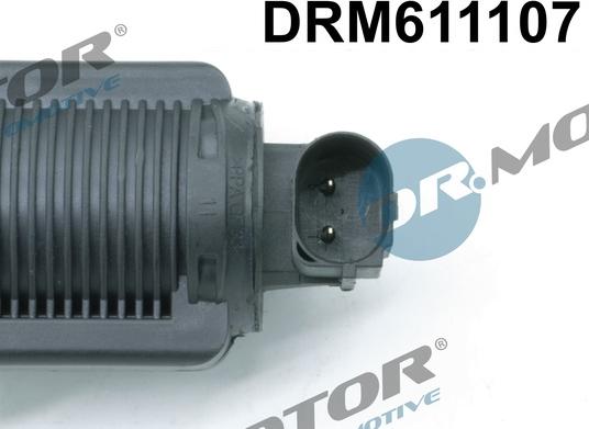 Dr.Motor Automotive DRM611107 - Agr-Ventil xdelar.se