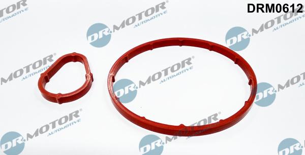 Dr.Motor Automotive DRM0612 - Packningssats, undertryckspump xdelar.se