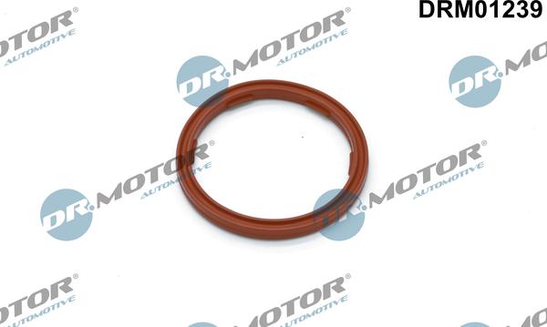 Dr.Motor Automotive DRM01239 - Ringtätning, motoroljenivåsensor xdelar.se