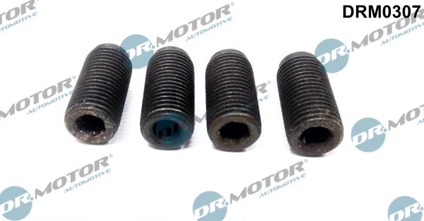 Dr.Motor Automotive DRM0307 - Justerskruv, insprutningspump xdelar.se