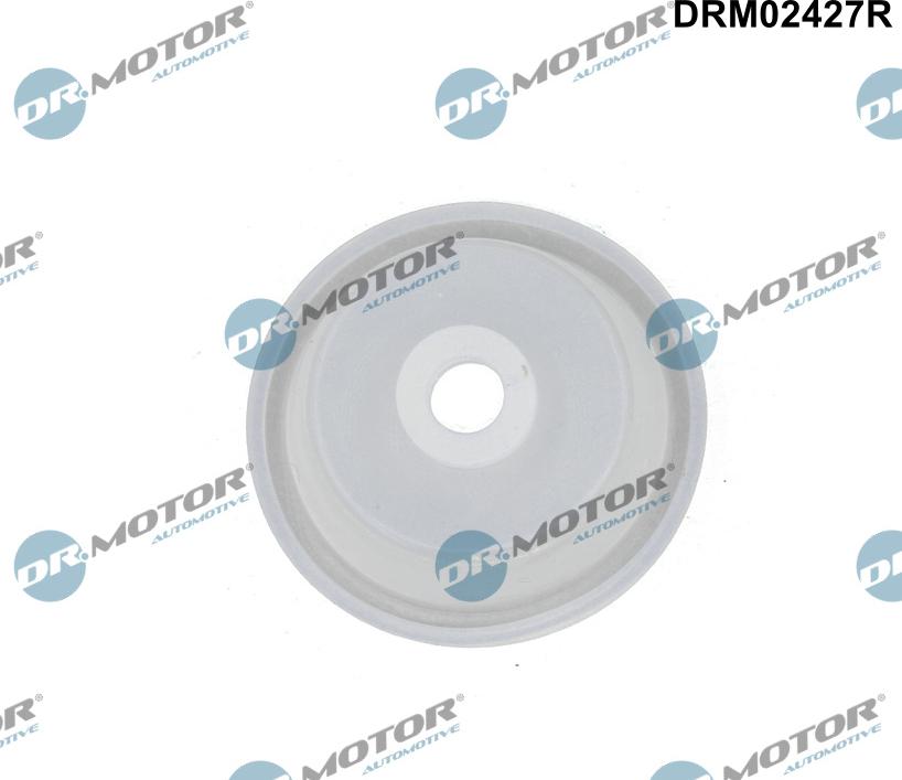 Dr.Motor Automotive DRM02427R - Reglerventil, luftintag xdelar.se