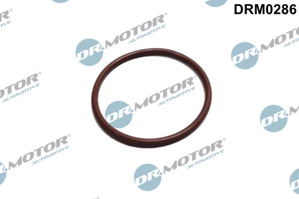 Dr.Motor Automotive DRM0286 - Packning, bränslepump xdelar.se