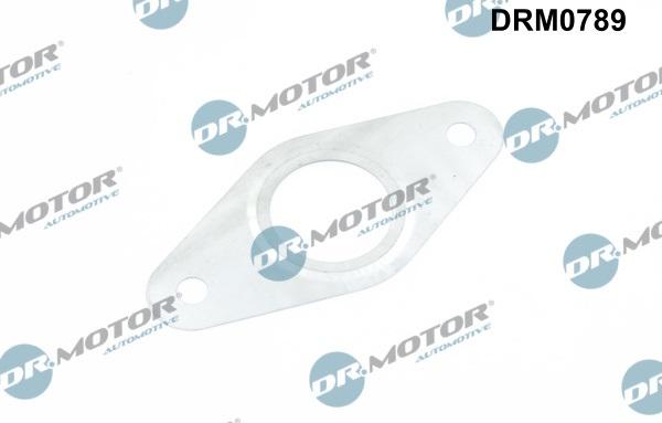 Dr.Motor Automotive DRM0789 - Packning, EGR-ventilledning xdelar.se