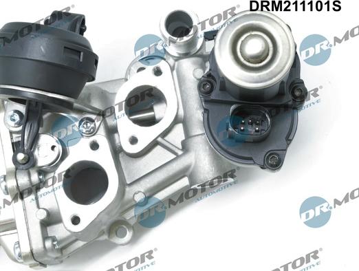 Dr.Motor Automotive DRM211101S - Agr-Ventil xdelar.se