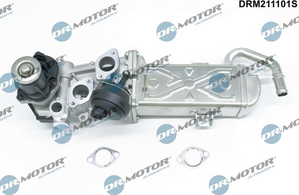 Dr.Motor Automotive DRM211101S - Agr-Ventil xdelar.se