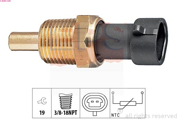 EPS 1.830.129 - Sensor, oljetemperatur xdelar.se