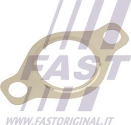 Fast FT50618 - Packning EGR-ventil xdelar.se