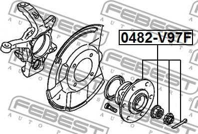 Febest 0482-V97F - Hjulnav xdelar.se