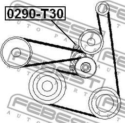 Febest 0290-T30 - Remsträckare, flerspårsrem xdelar.se