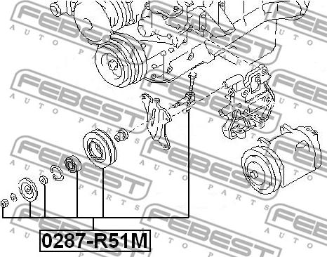 Febest 0287-R51M - Styrrulle, flerspårsrem xdelar.se