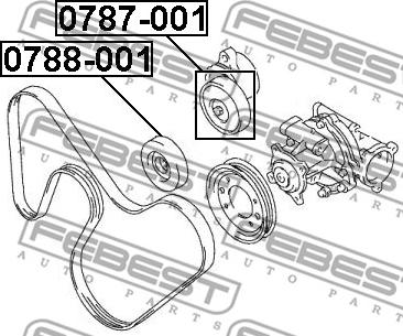 Febest 0788-001 - Styrrulle, flerspårsrem xdelar.se