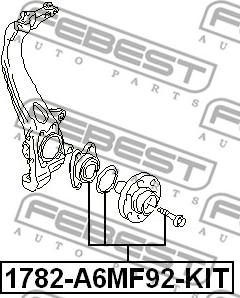 Febest 1782-A6MF92-KIT - Hjulnav xdelar.se