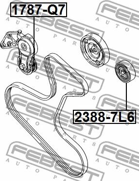 Febest 2388-7L6 - Styrrulle, flerspårsrem xdelar.se