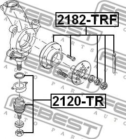 Febest 2120-TR - Stöd- / Styrstag xdelar.se