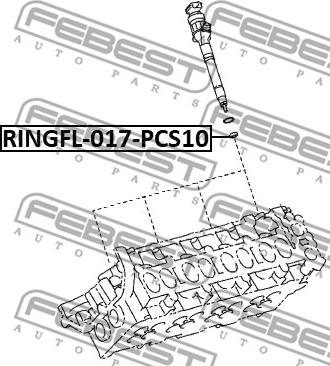 Febest RINGFL-017-PCS10 - Packningssats, spridare xdelar.se