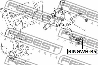 Febest RINGWH-B5 - Packning, Kylvätskefläns xdelar.se