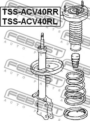 Febest TSS-ACV40RL - Fjäderbens-stödlager xdelar.se