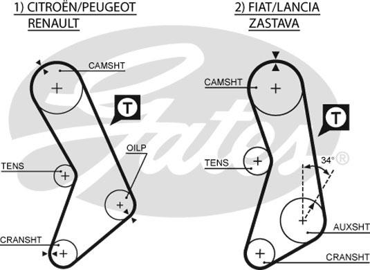 Gates 5003 - Kuggrem xdelar.se