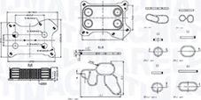 Magneti Marelli 350300001300 - Oljekylare, motor xdelar.se