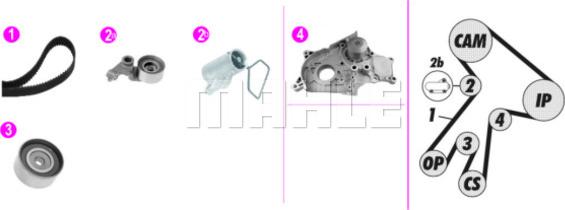 MAHLE CPK 138 000P - Vattenpump + kuggremssats xdelar.se