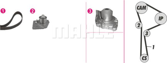 MAHLE CPK 24 000P - Vattenpump + kuggremssats xdelar.se