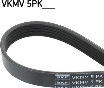 SKF VKMV 5PK881 - Flerspårsrem xdelar.se