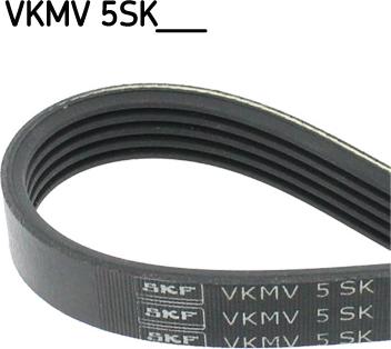 SKF VKMV 5SK690 - Flerspårsrem xdelar.se