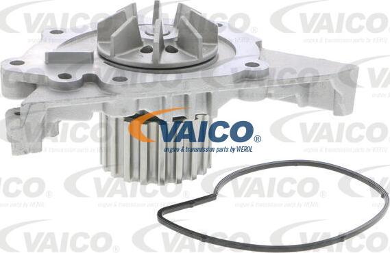 VAICO V42-50000 - Vattenpump xdelar.se