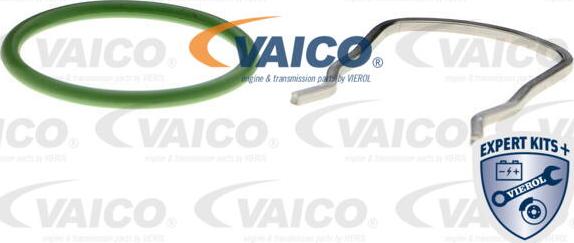 VAICO V10-4804 - Slang, vevhusventilation xdelar.se