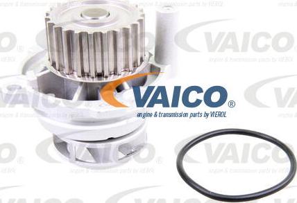 VAICO V10-50106 - Vattenpump + kuggremssats xdelar.se