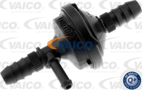 VAICO V10-2519 - Backventil xdelar.se