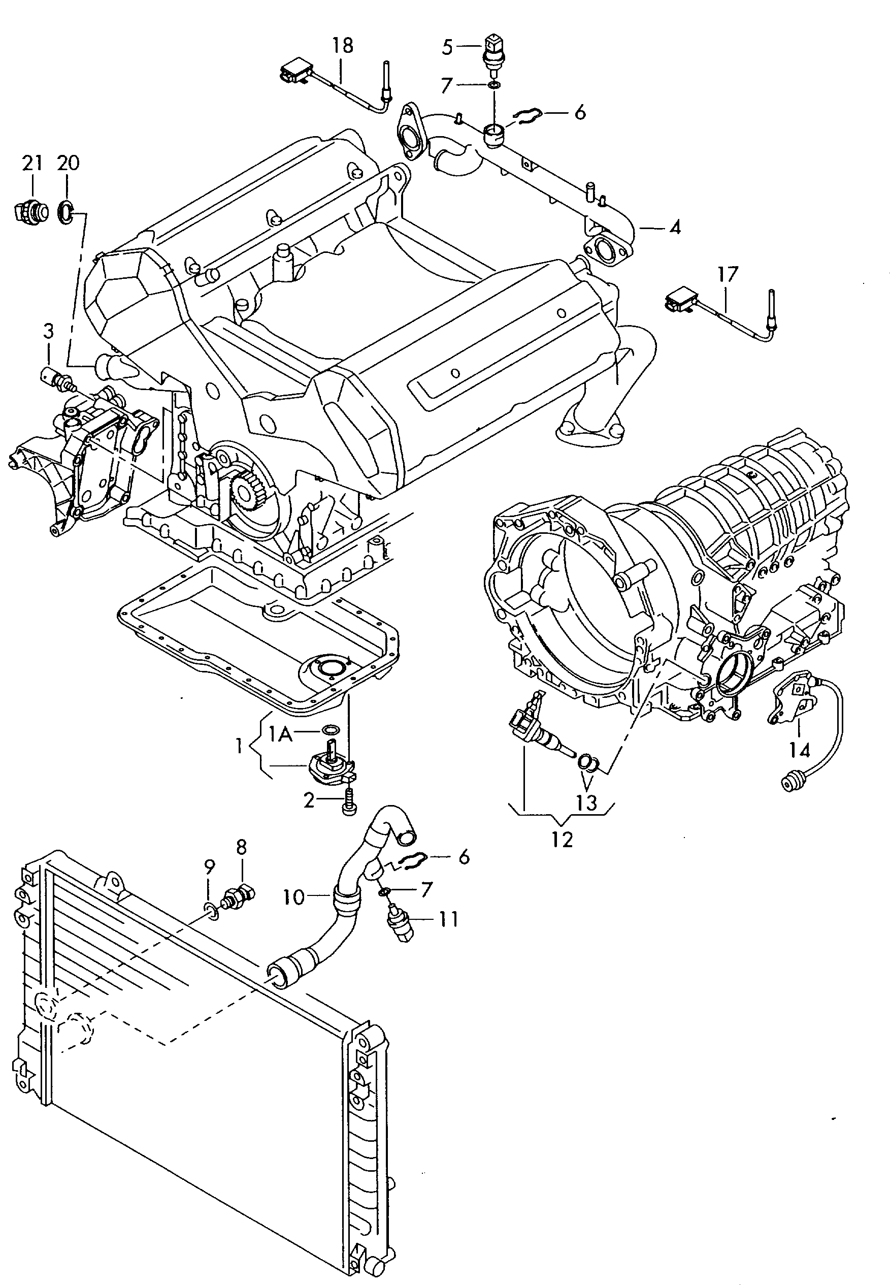 Seat 038 919 081 B - Sensor, oljetryck xdelar.se