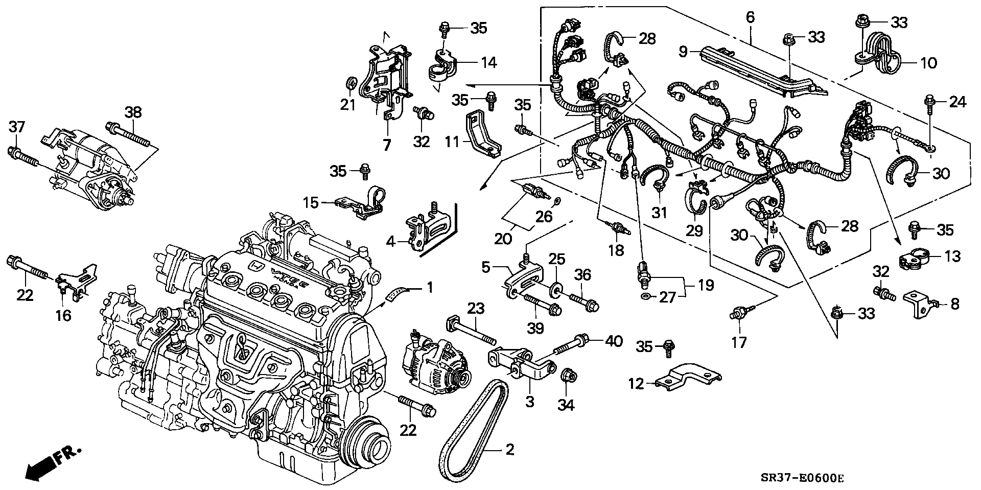 Honda 31110-P01-003 - Flerspårsrem xdelar.se