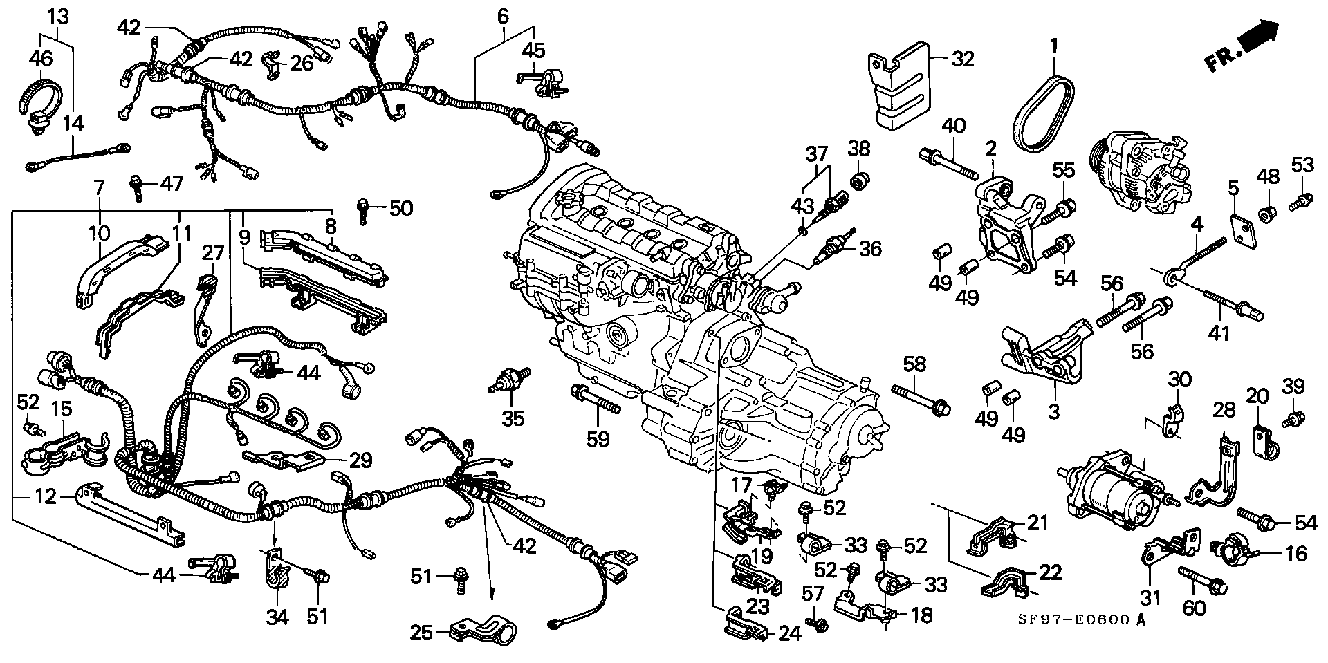 Honda 31110PK1003 - Flerspårsrem xdelar.se